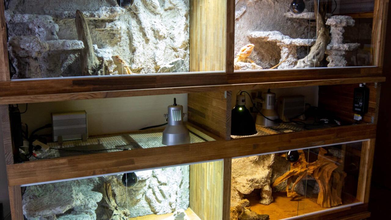 木製ケージの作り方 集成材を使って複合型爬虫類飼育ケージを自作しよう Hobbyist Garage